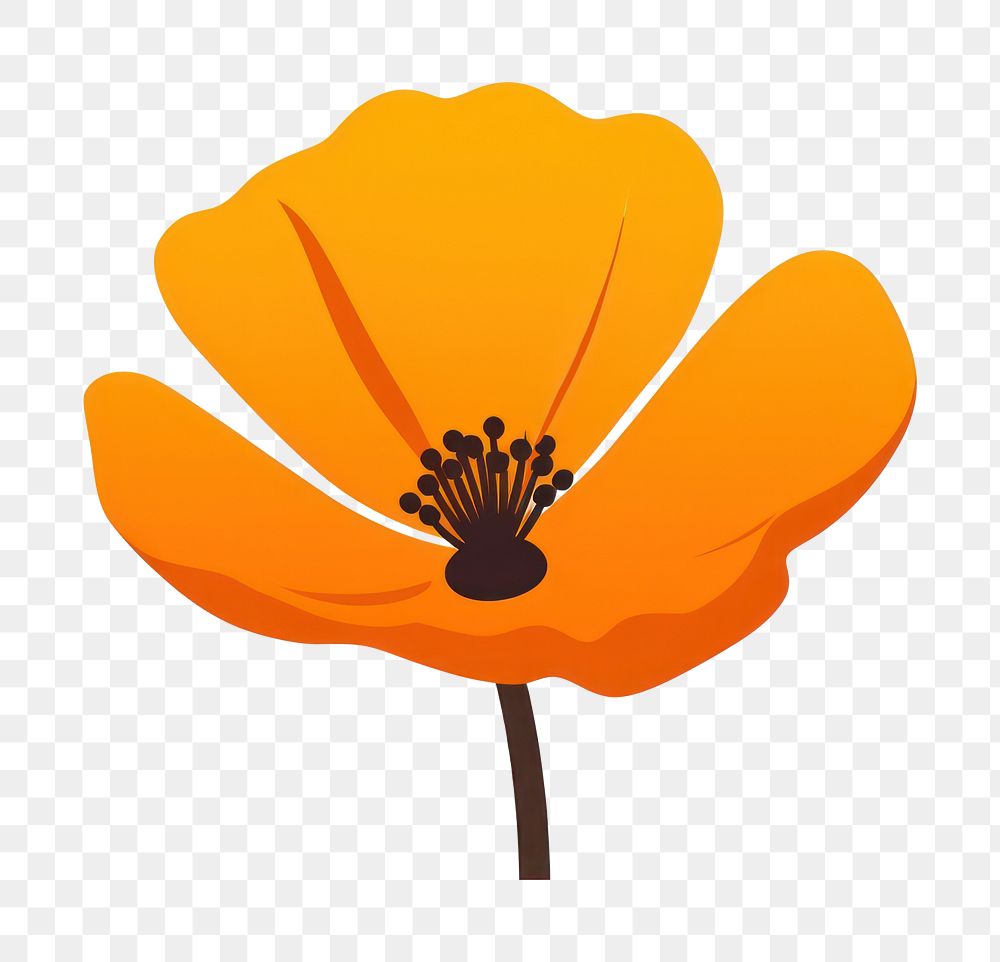PNG California Poppy flower poppy petal. AI generated Image by rawpixel.