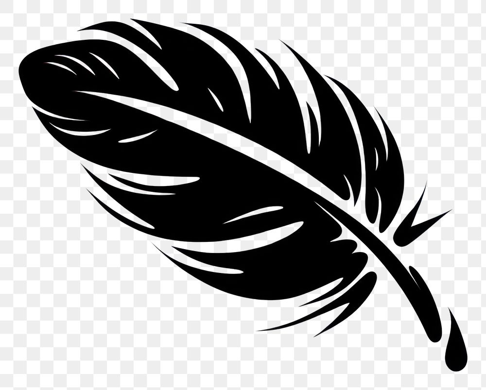 PNG Feathers feather black line. AI generated Image by rawpixel.