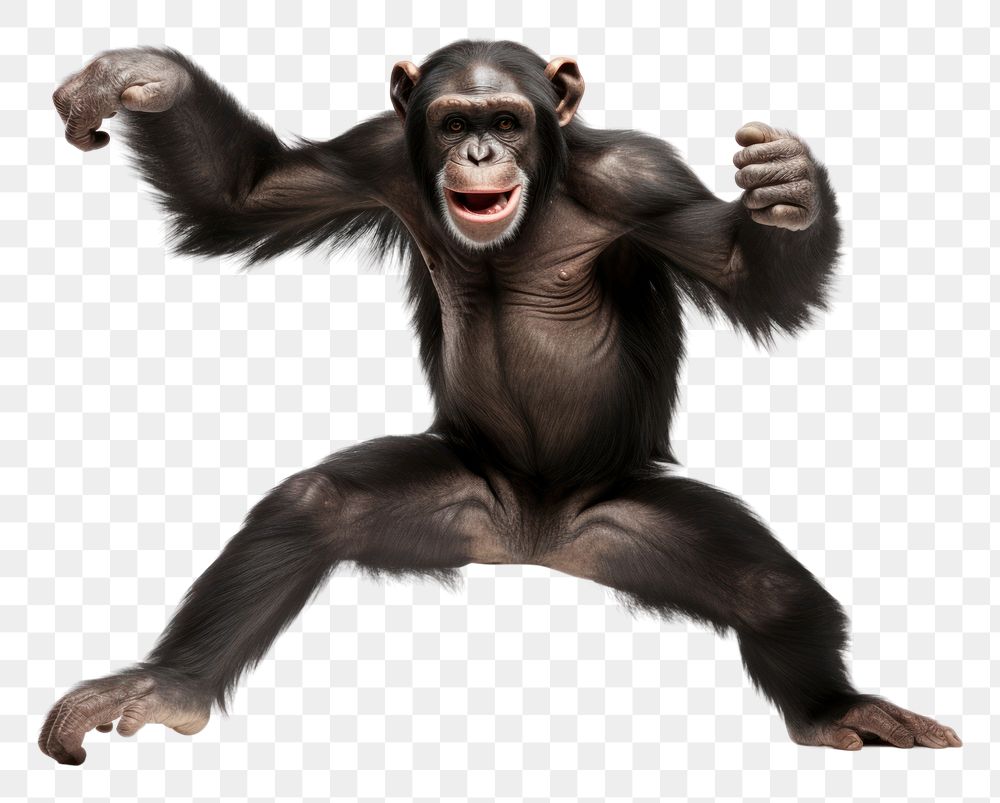 Wildlife mammal monkey animal. AI generated Image by rawpixel.