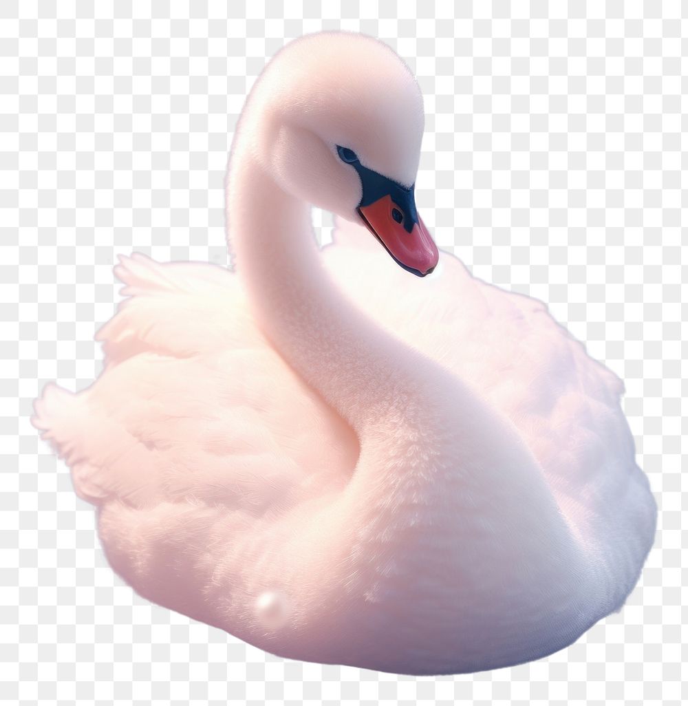 PNG Cute baby swan animal bird reflection. AI generated Image by rawpixel.