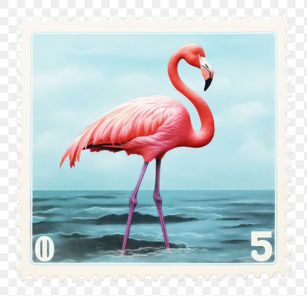 PNG Flamingo animal bird postage stamp. AI generated Image by rawpixel.
