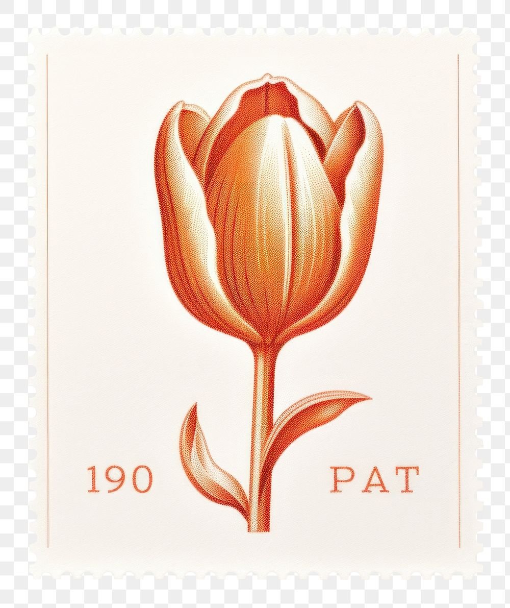 PNG Tulip silk screen flower postage stamp blossom. AI generated Image by rawpixel.