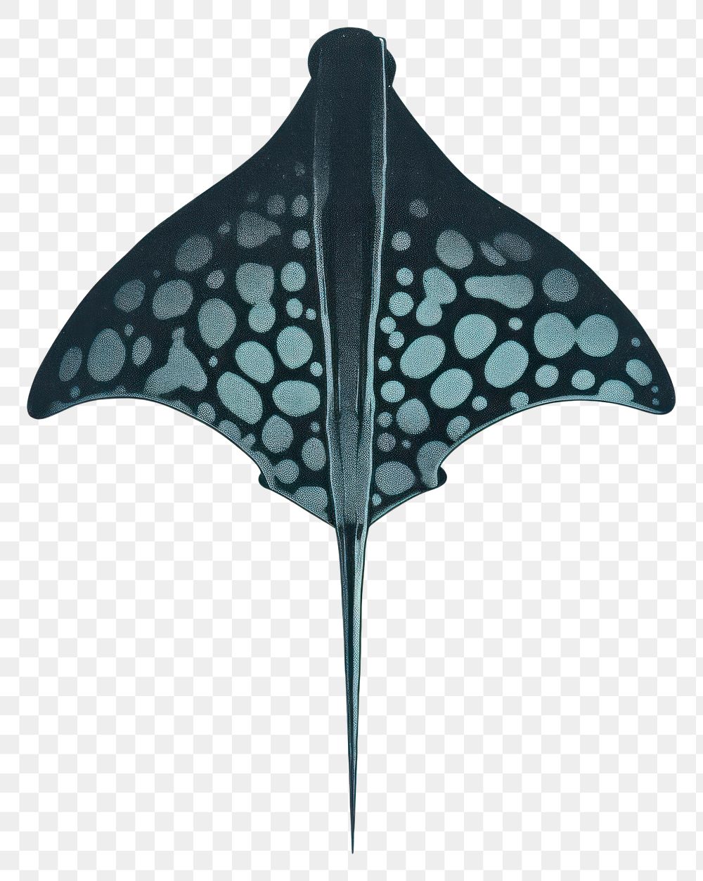 PNG Butterfly manta ray weaponry pattern. AI generated Image by rawpixel.