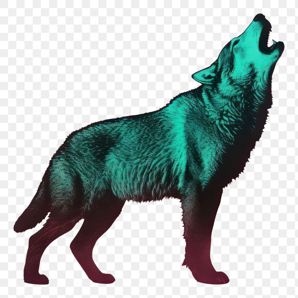 PNG Animal mammal wolf pet. AI generated Image by rawpixel.