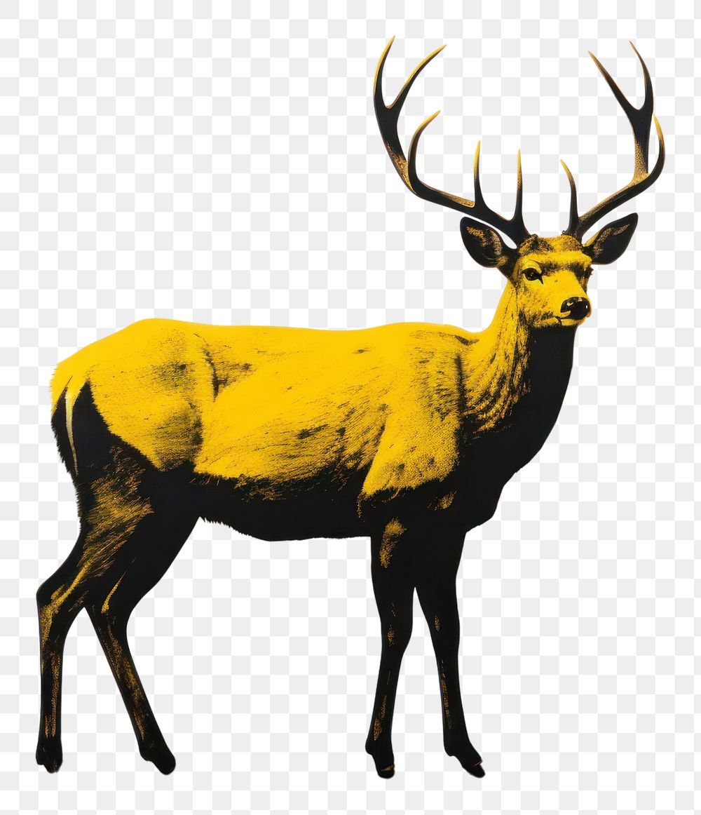 PNG A deer wildlife animal mammal. 