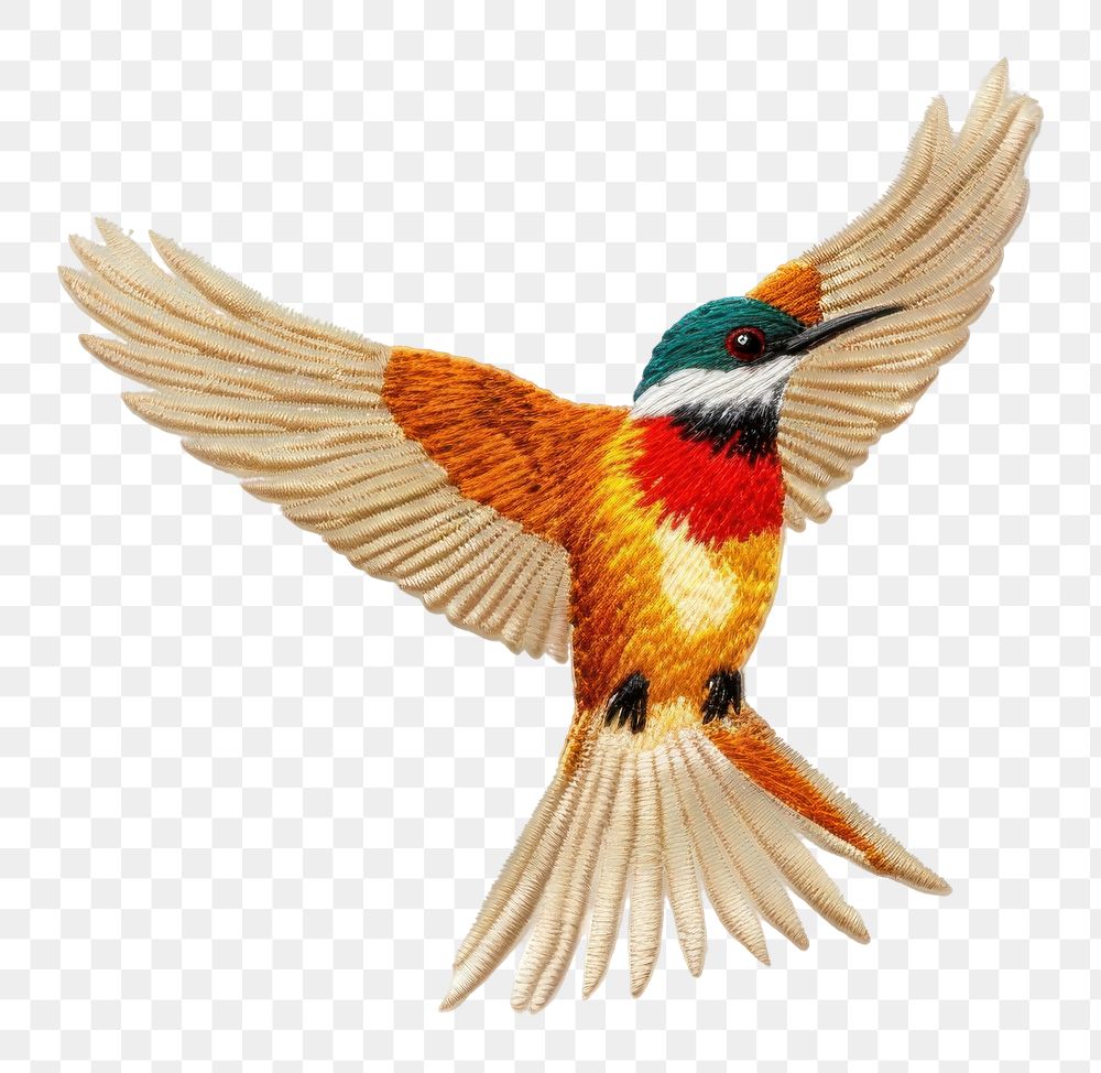 PNG Flying bird hummingbird animal. AI generated Image by rawpixel.
