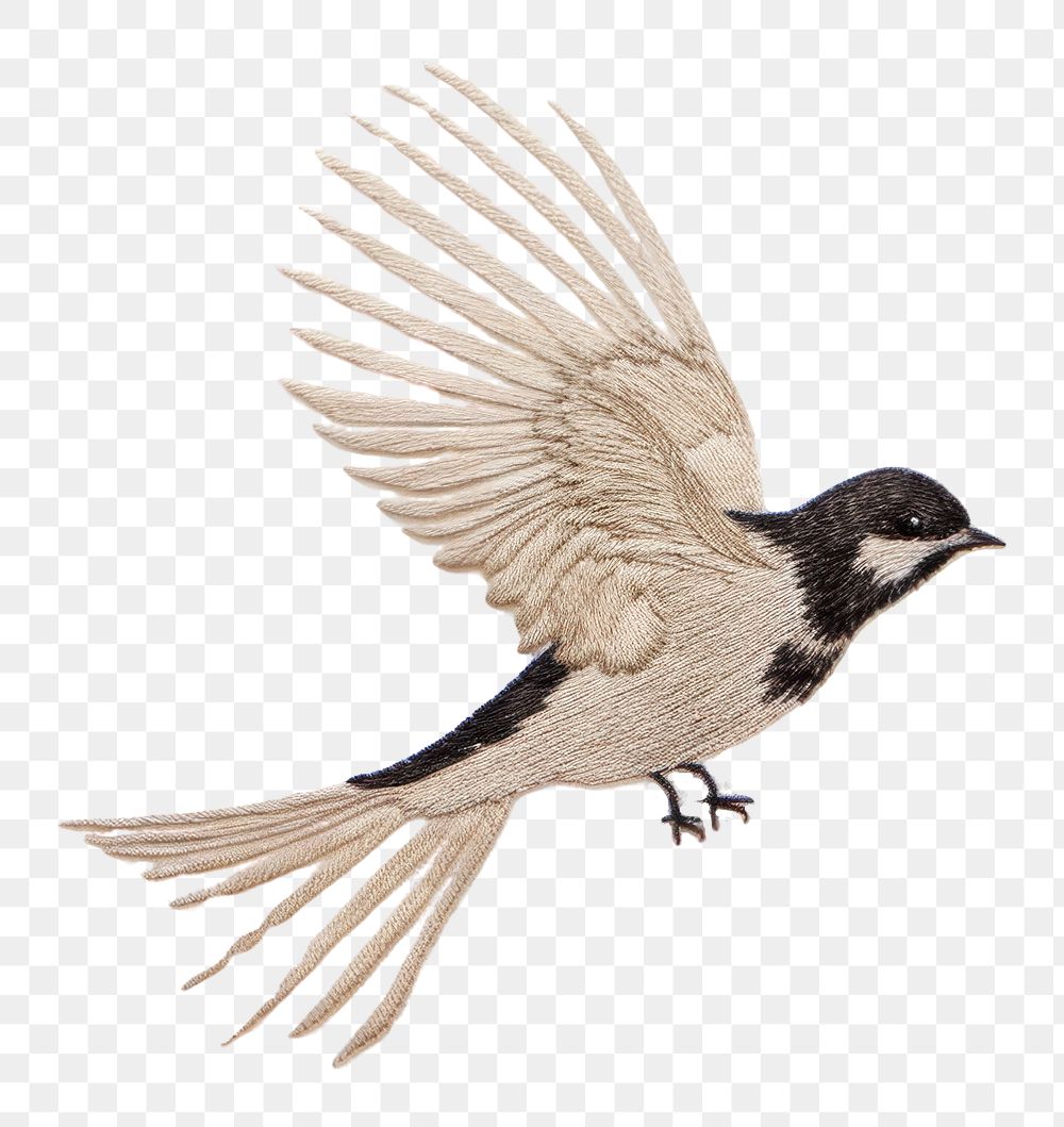 PNG Flying bird animal beak AI generated Image by rawpixel