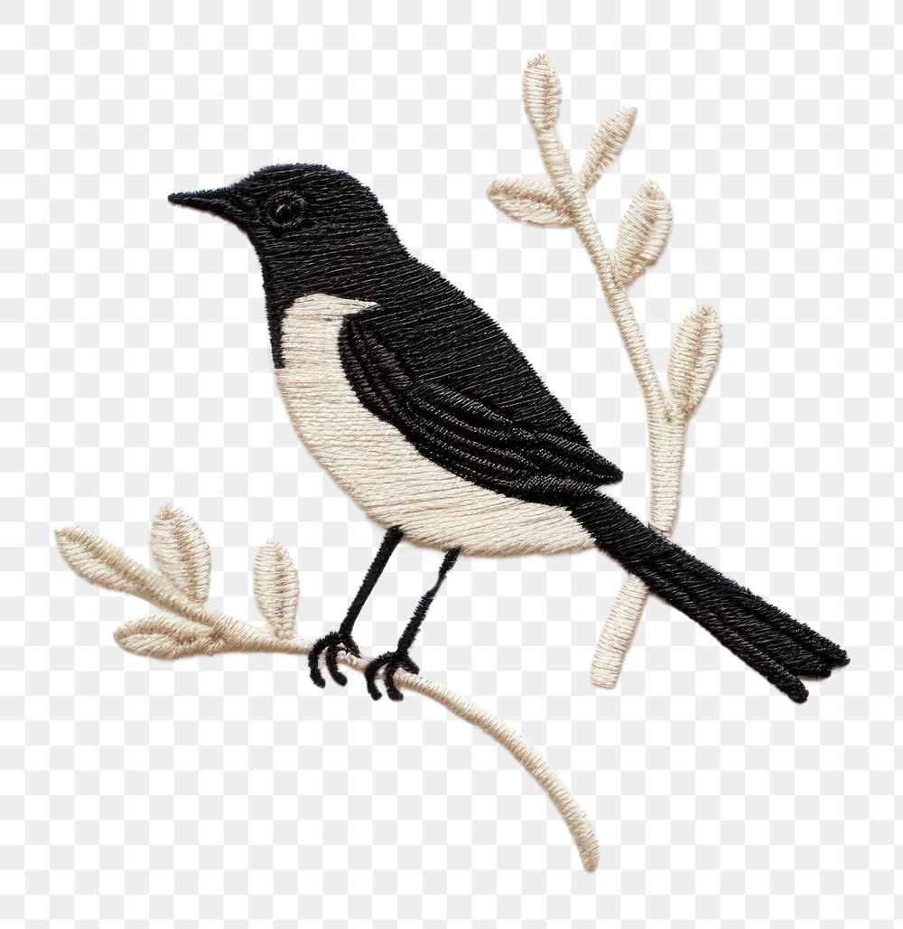 PNG Bird animal blackbird wildlife. AI generated Image by rawpixel.
