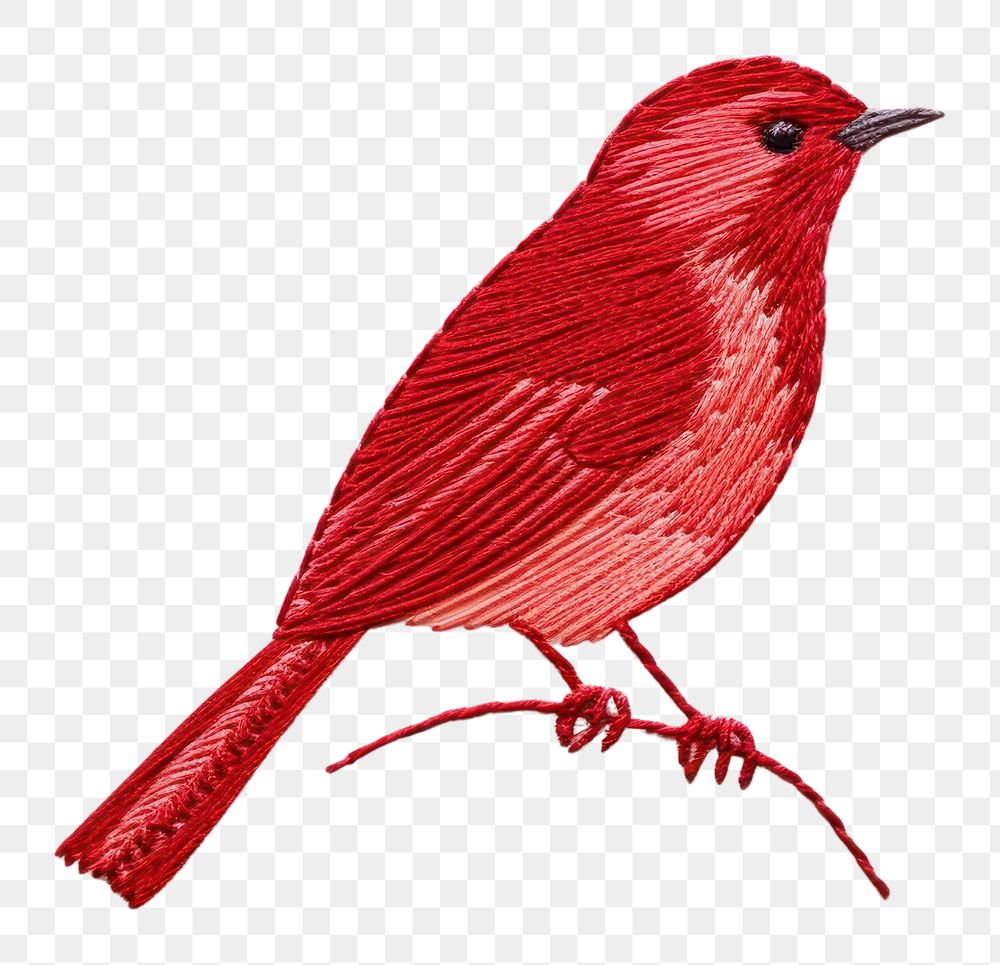 PNG Bird animal beak creativity. AI generated Image by rawpixel.