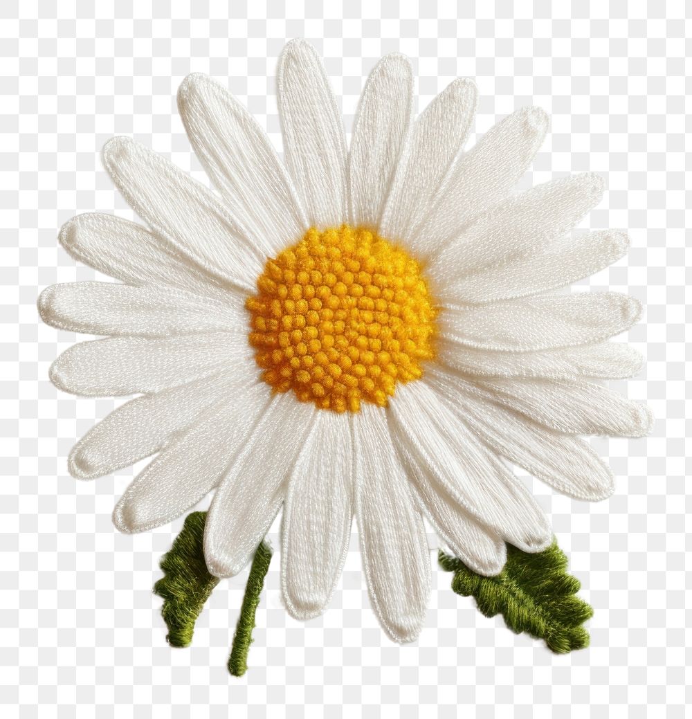 PNG Daisy flower petal plant AI generated Image by rawpixel