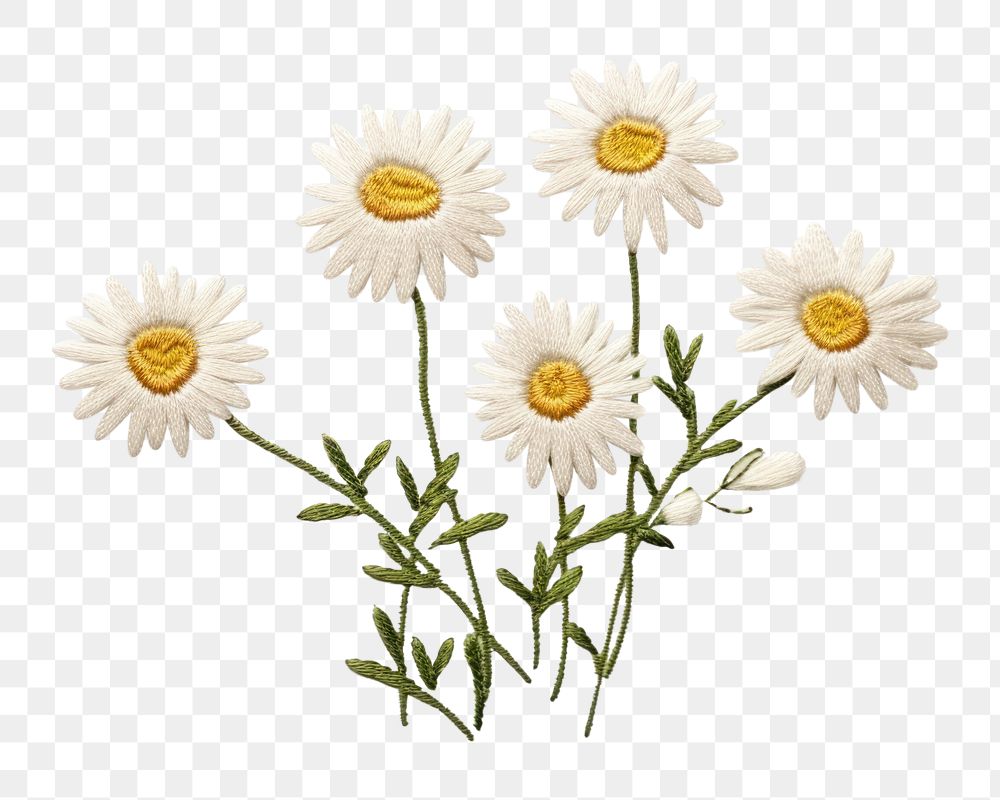 PNG Daisy embroidery flower plant AI generated Image by rawpixel