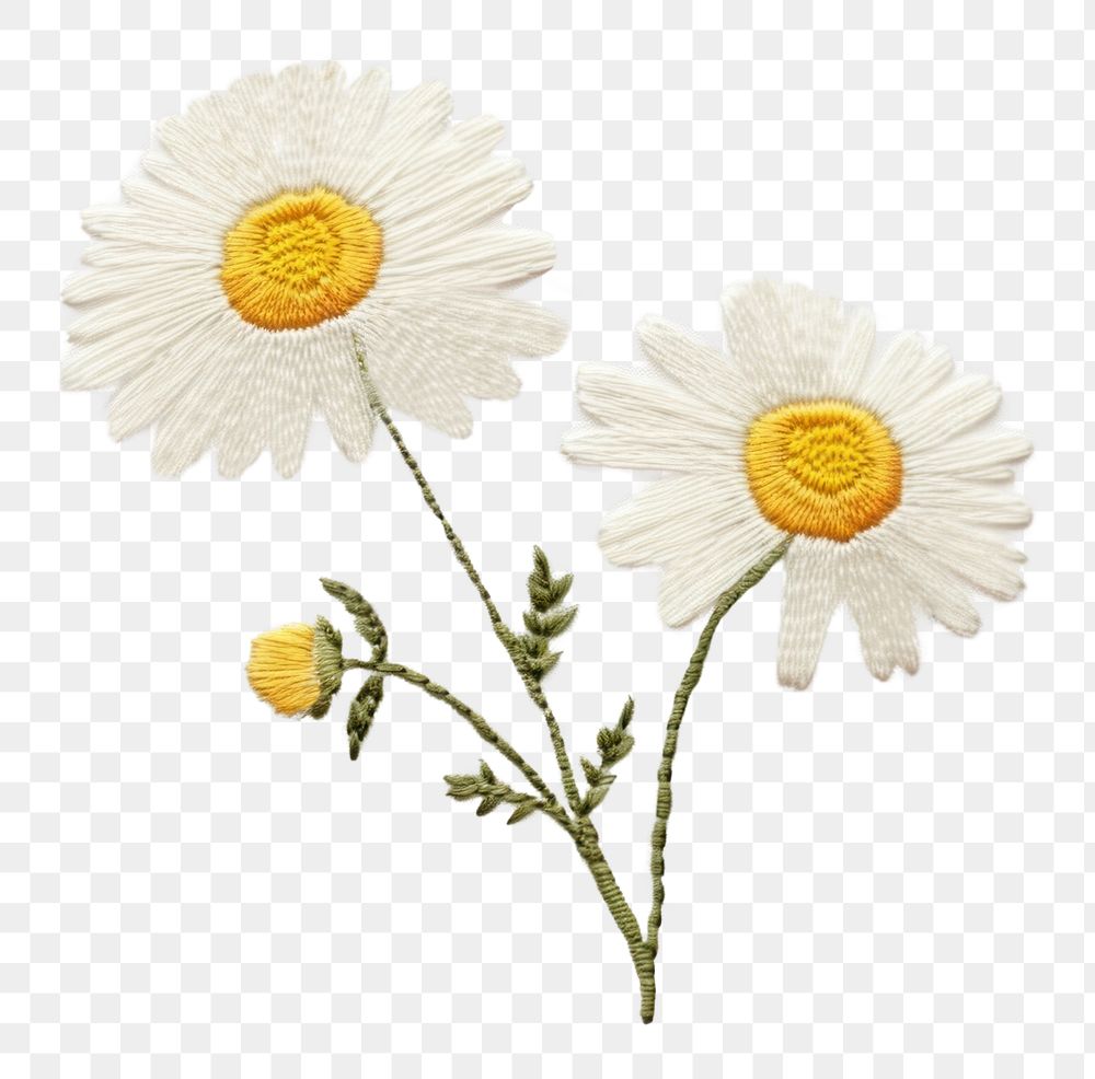 PNG Daisy embroidery flower plant. AI generated Image by rawpixel.