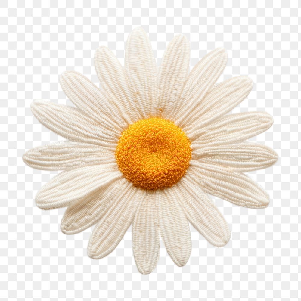 PNG Daisy flower petal plant AI generated Image by rawpixel