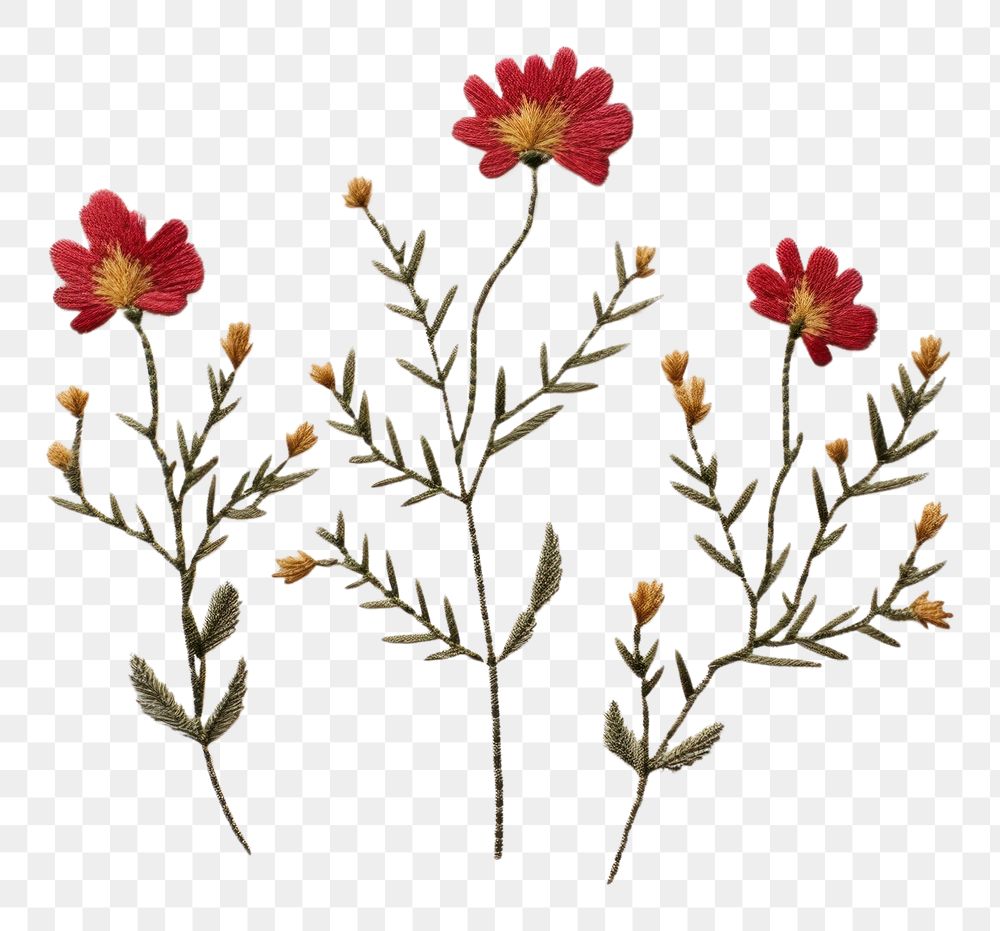 PNG Embroidery flower pattern plant. AI generated Image by rawpixel.