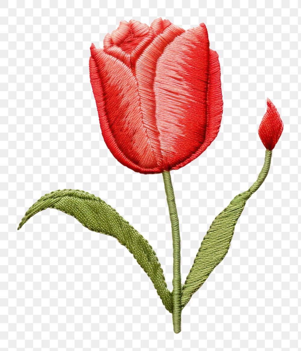 PNG Tulip embroidery flower petal. 