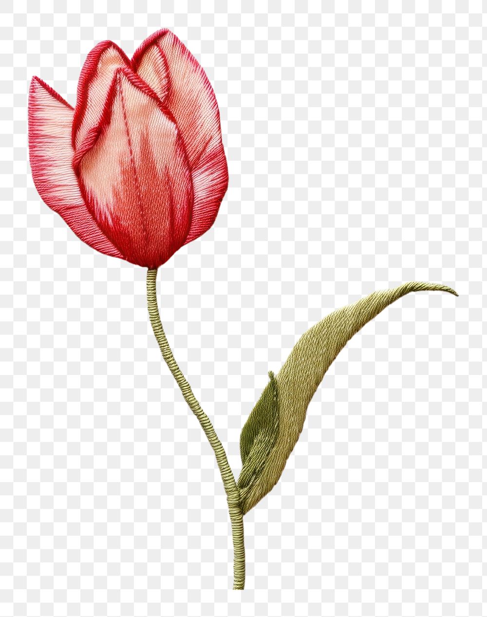 PNG Embroidery flower petal plant. AI generated Image by rawpixel.