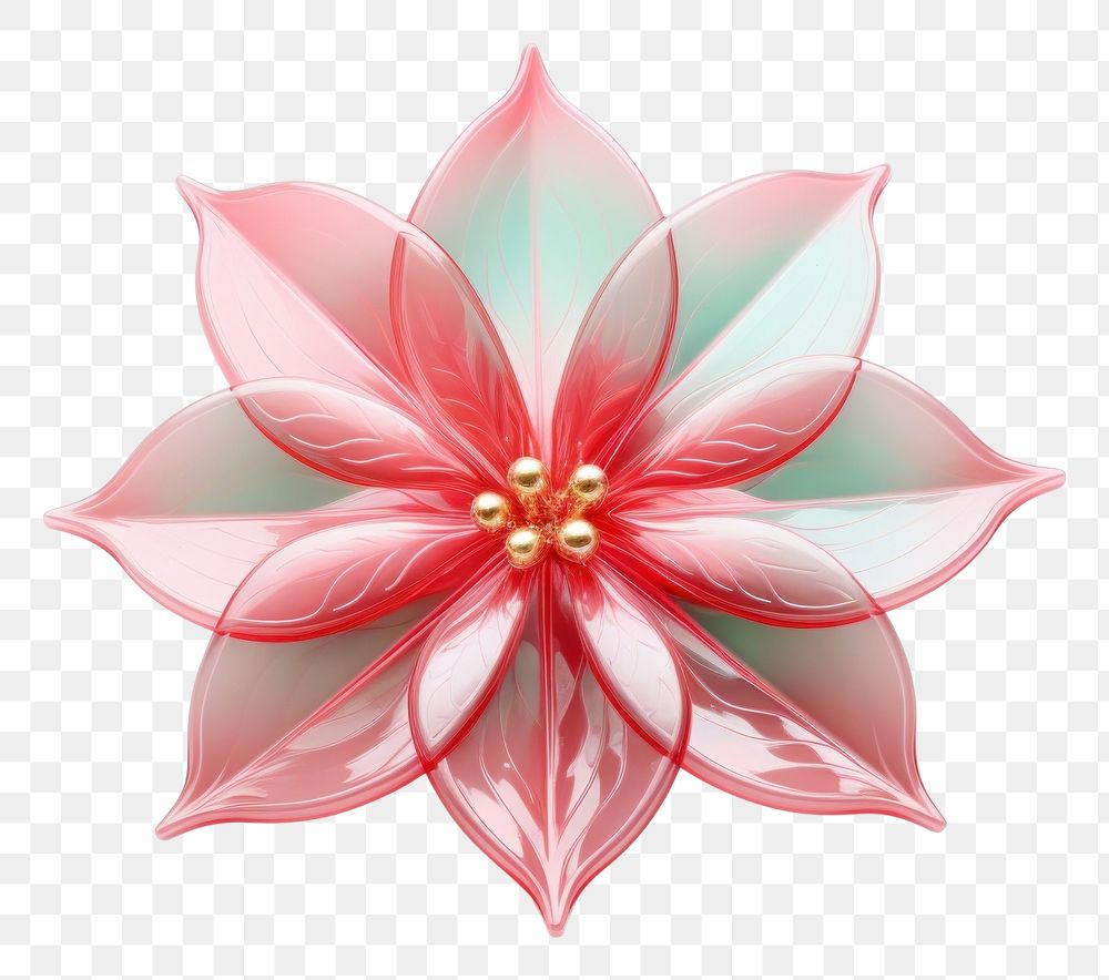 PNG Poinsettia flower plant art. AI generated Image by rawpixel.