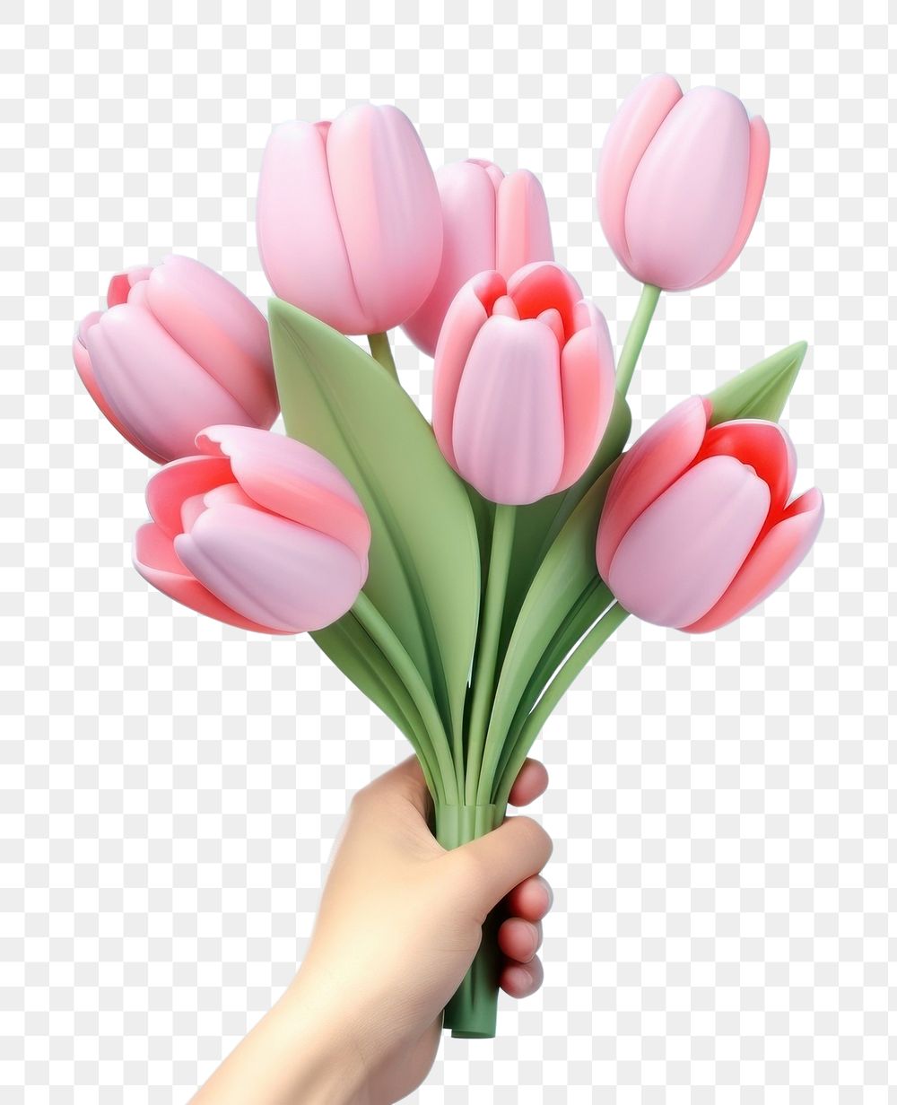 PNG Hand holding a tulip bouqet flower plant inflorescence. AI generated Image by rawpixel.