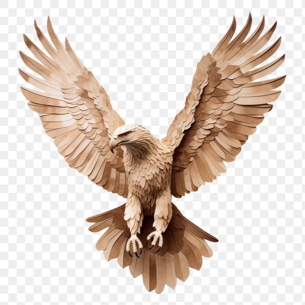 PNG Hawk vulture animal flying. AI generated Image by rawpixel.