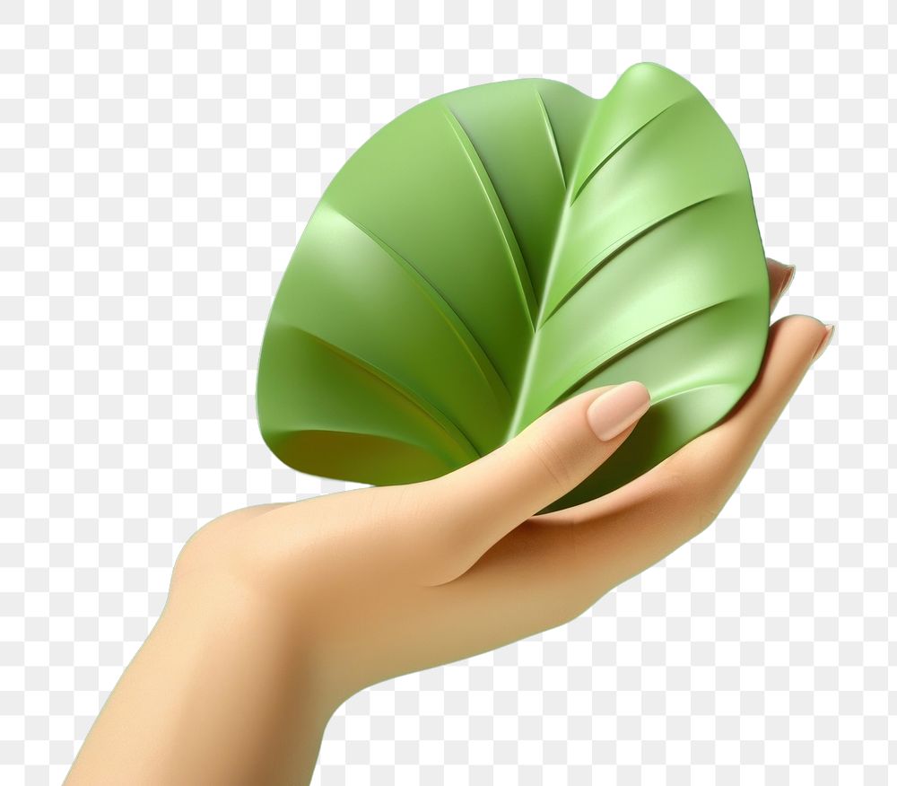 PNG Leaf holding green adult. AI generated Image by rawpixel.