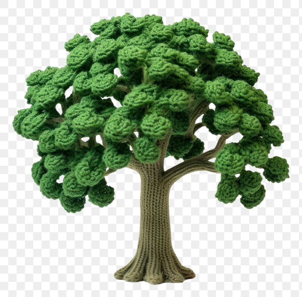 PNG  Broccoli bonsai plant green. AI generated Image by rawpixel.