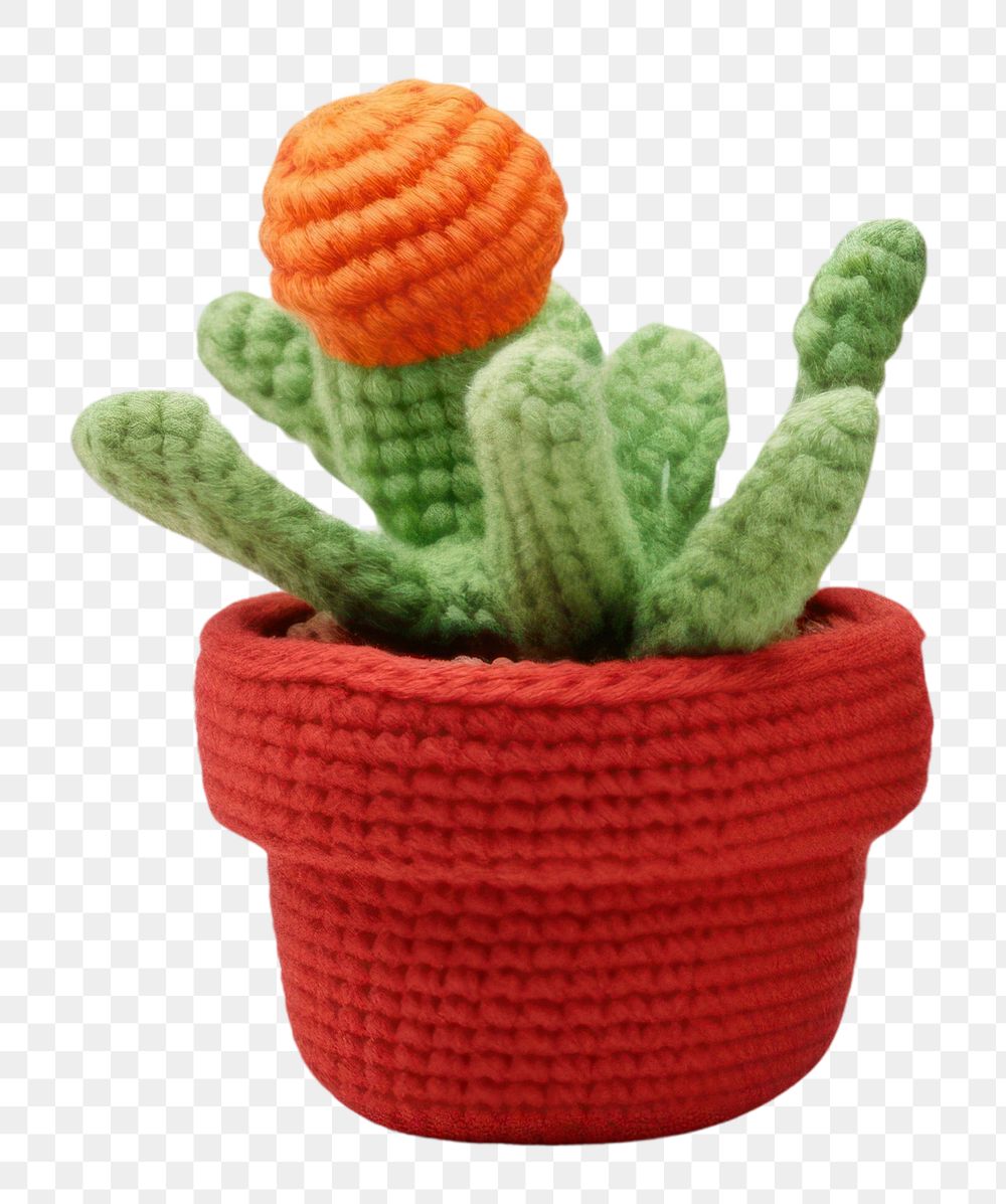 PNG  Knitted cute toy plant cactus white background. AI generated Image by rawpixel.