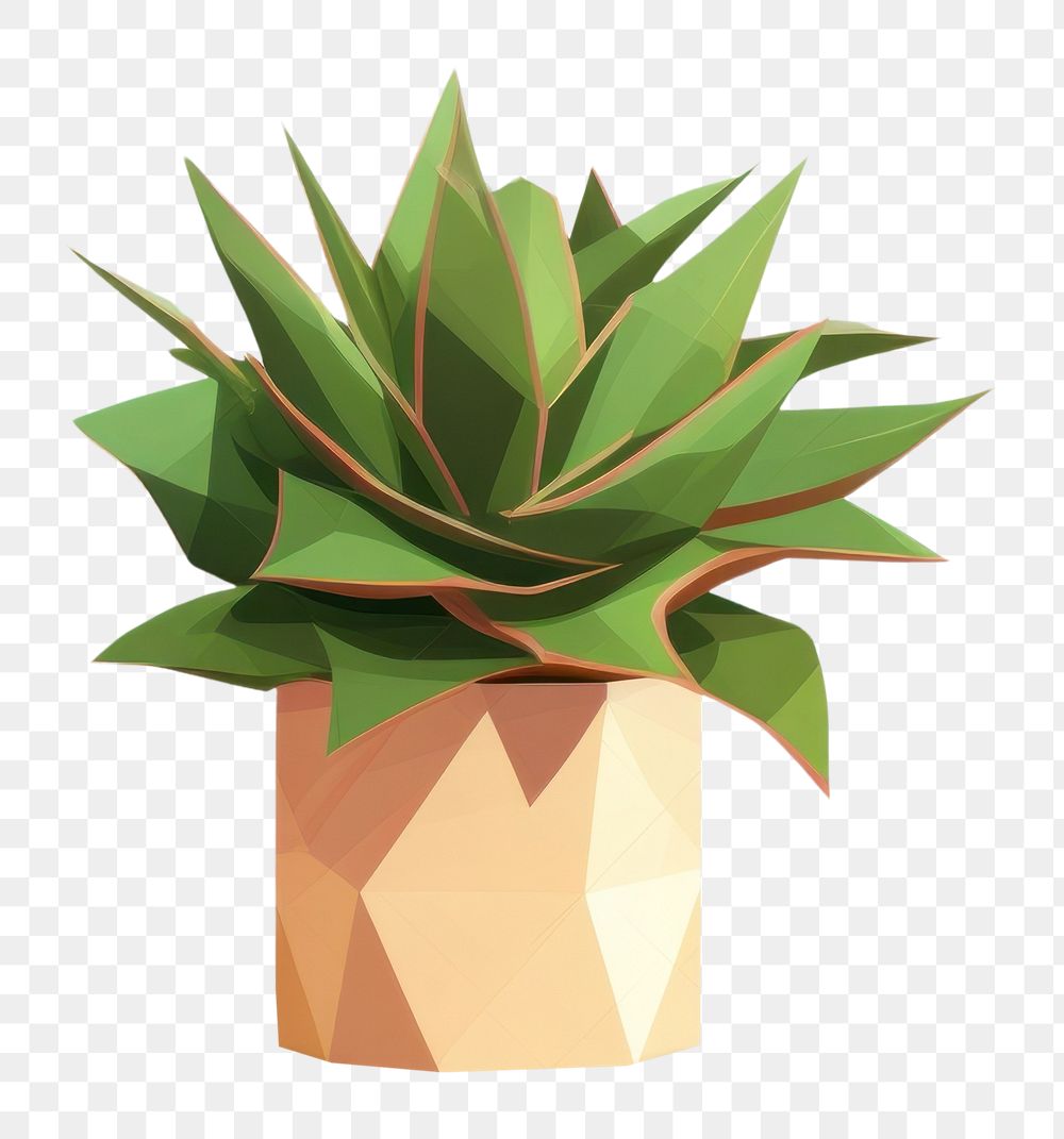 PNG Potted plants bromeliaceae houseplant terracotta. AI generated Image by rawpixel.