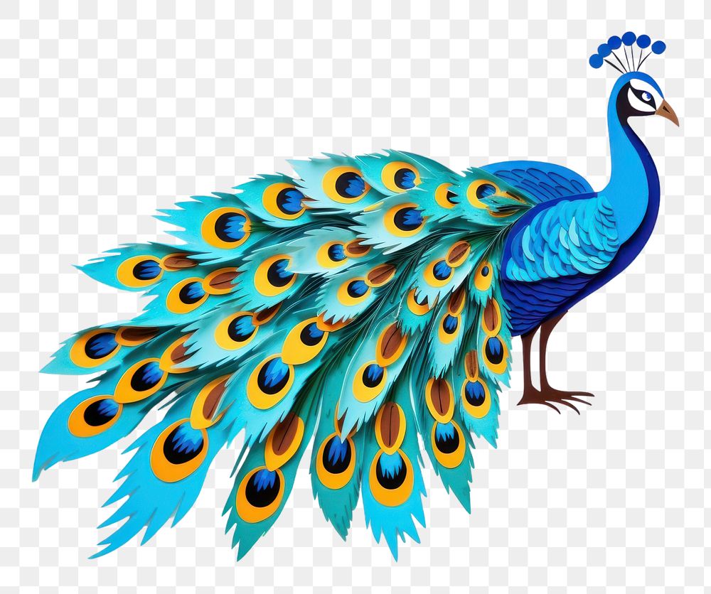 PNG Peacock animal bird  