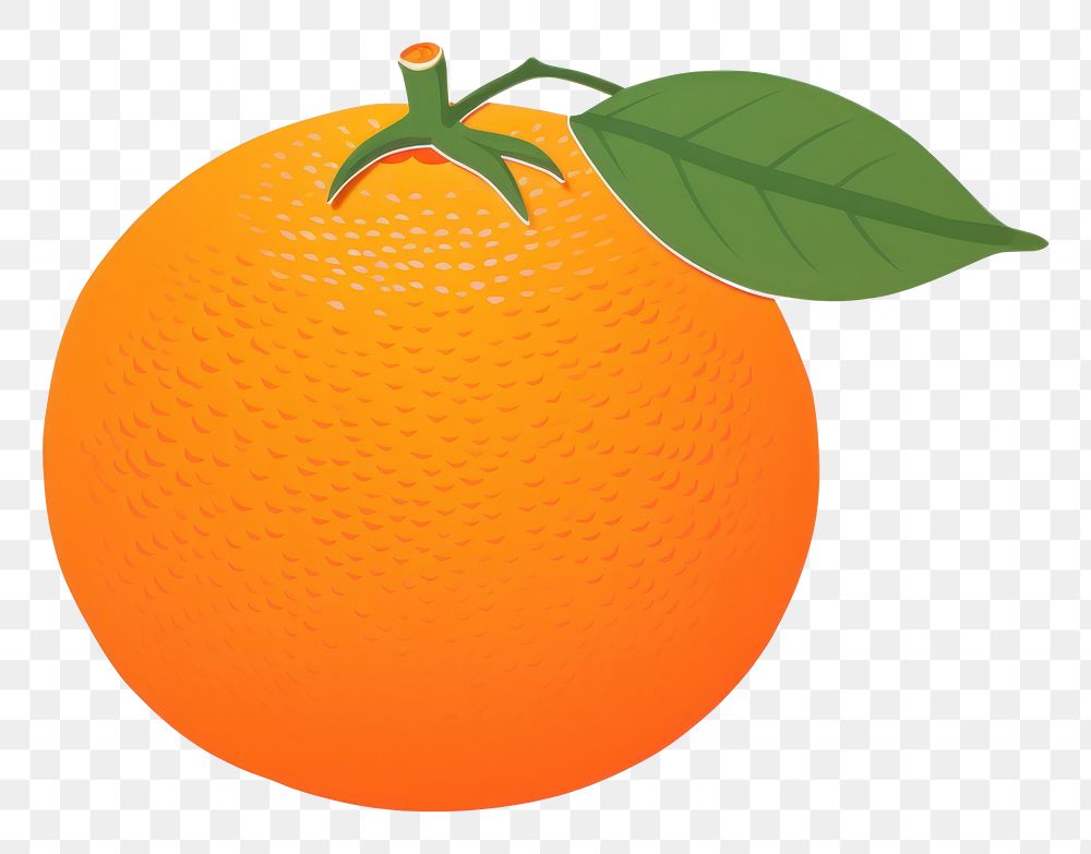 PNG Orange chinese grapefruit plant. AI generated Image by rawpixel.