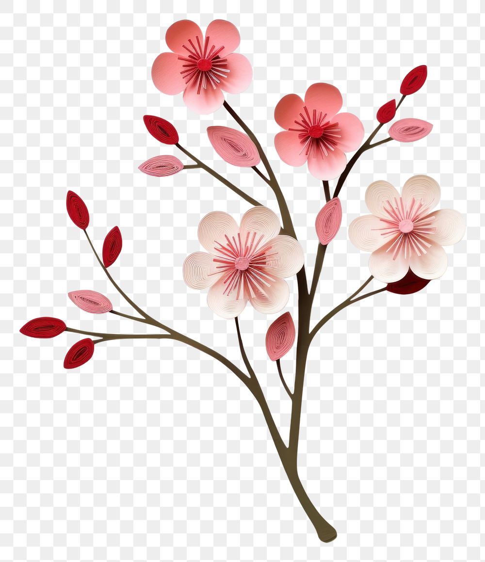 PNG Plum Blossom blossom flower plant. AI generated Image by rawpixel.