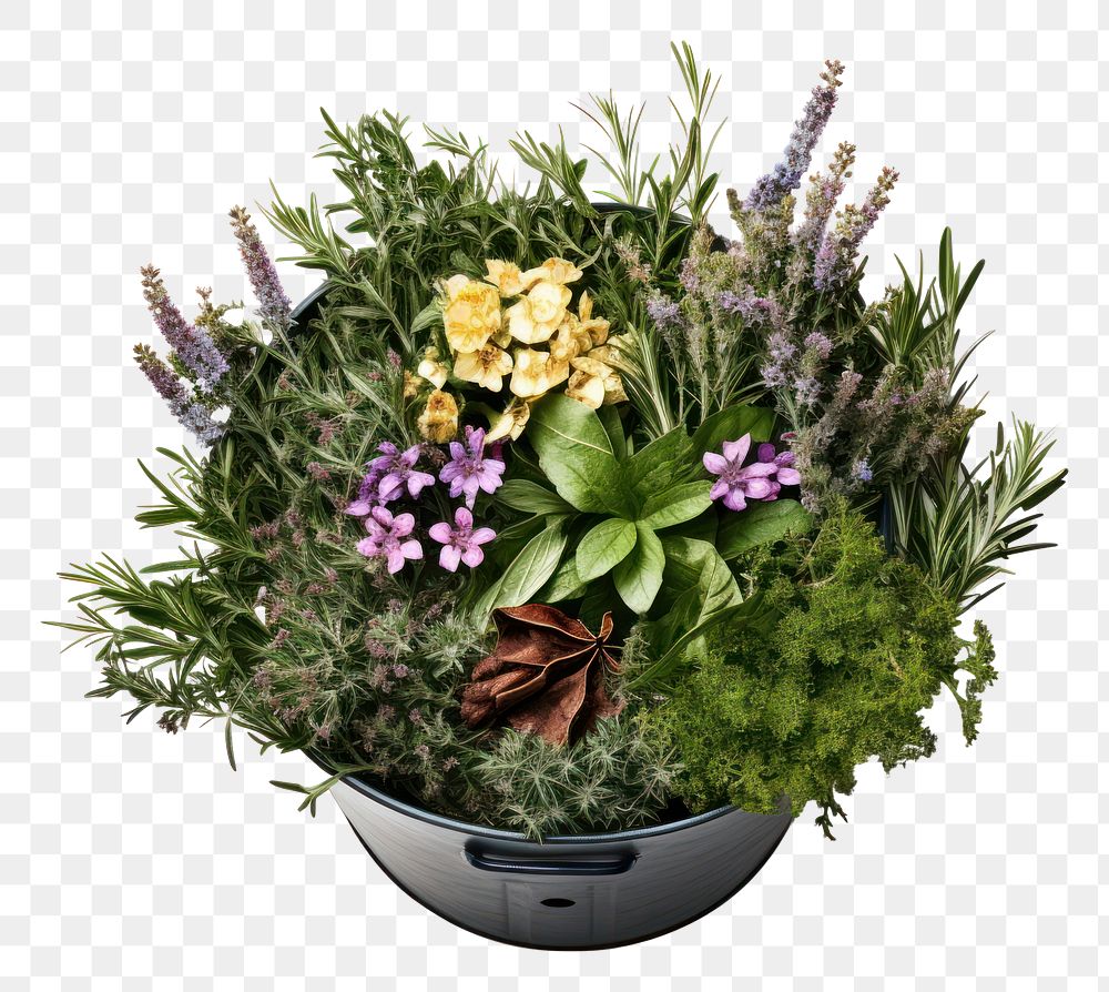PNG  A garden bucket flower plant herbs. AI generated Image by rawpixel.