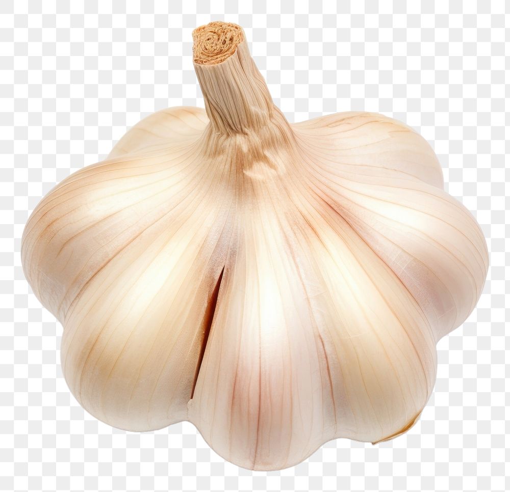 PNG  A garlic vegetable plant food. AI generated Image by rawpixel.