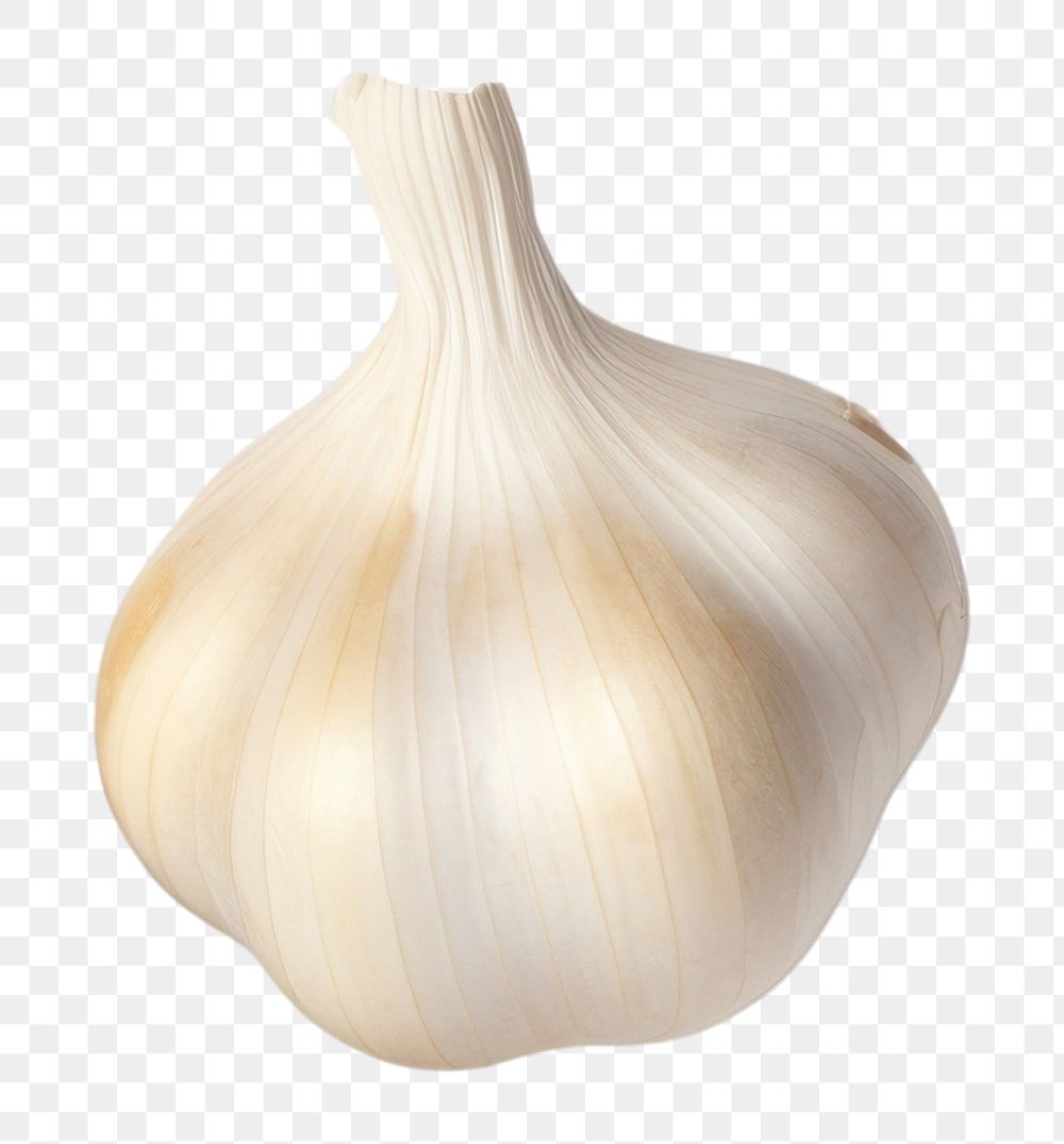 PNG  A garlic vegetable white plant. AI generated Image by rawpixel.