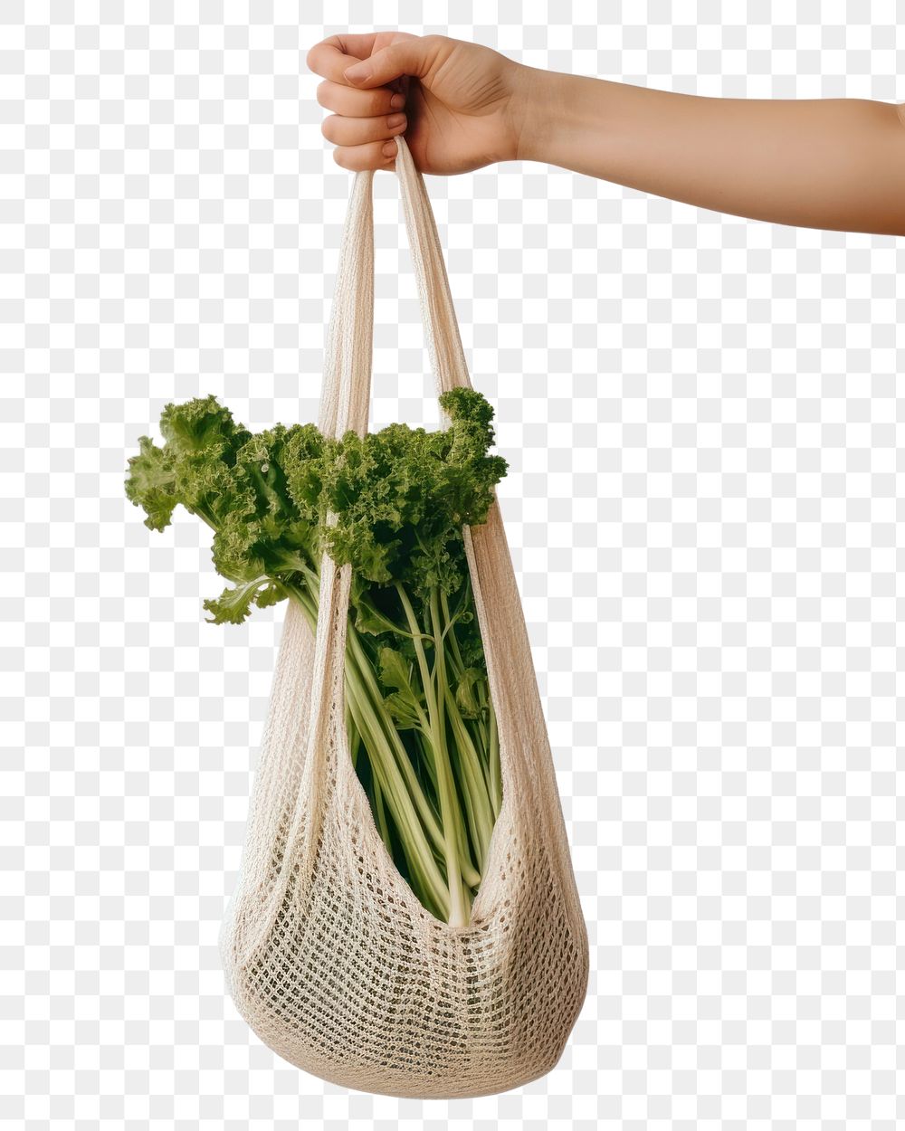 PNG  Bag vegetable holding green. AI generated Image by rawpixel.