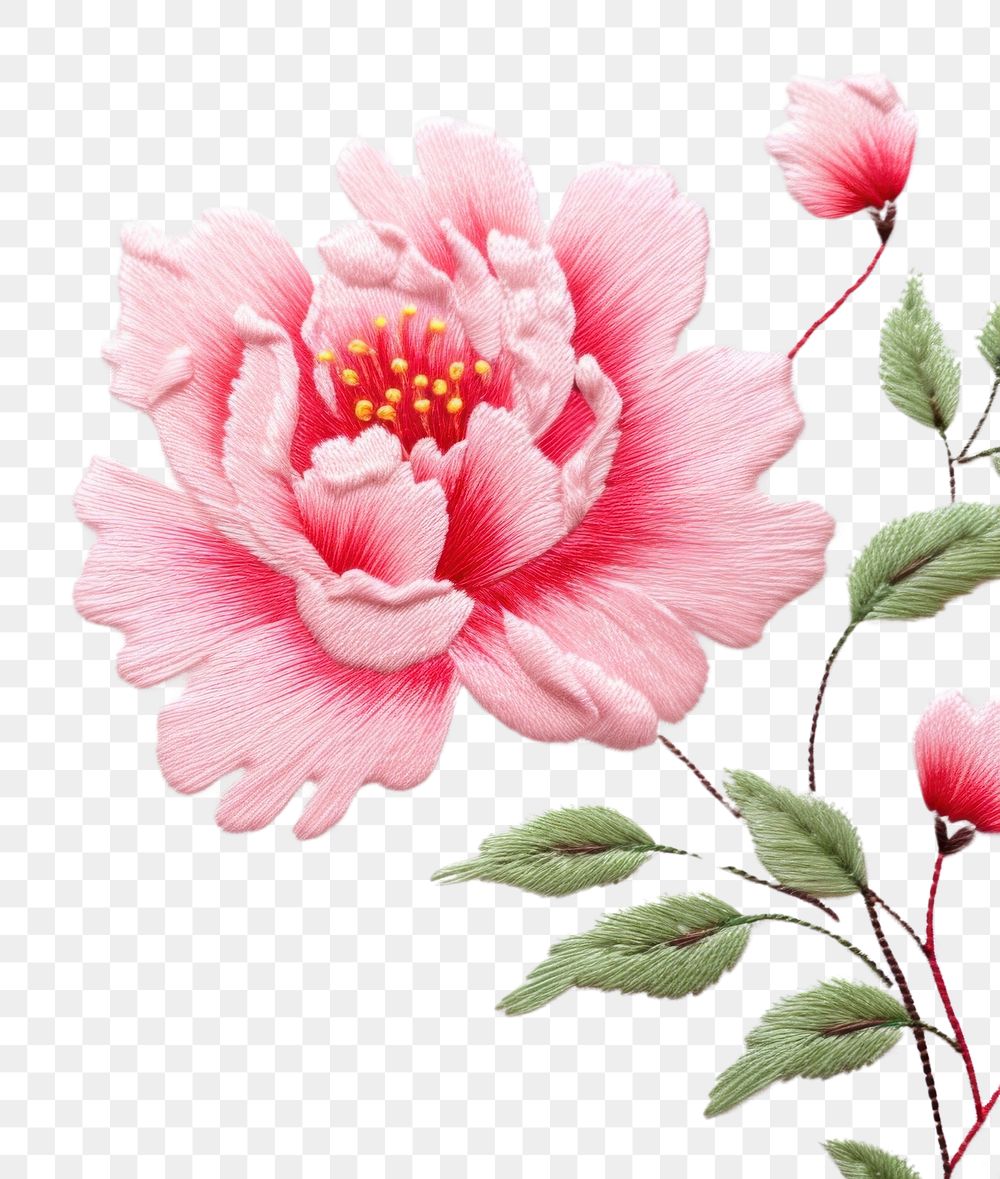 PNG Frame border little peony pattern embroidery blossom. AI generated Image by rawpixel.