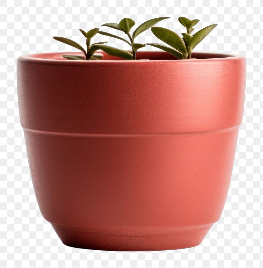 PNG  Plant pot vase red white background. AI generated Image by rawpixel.