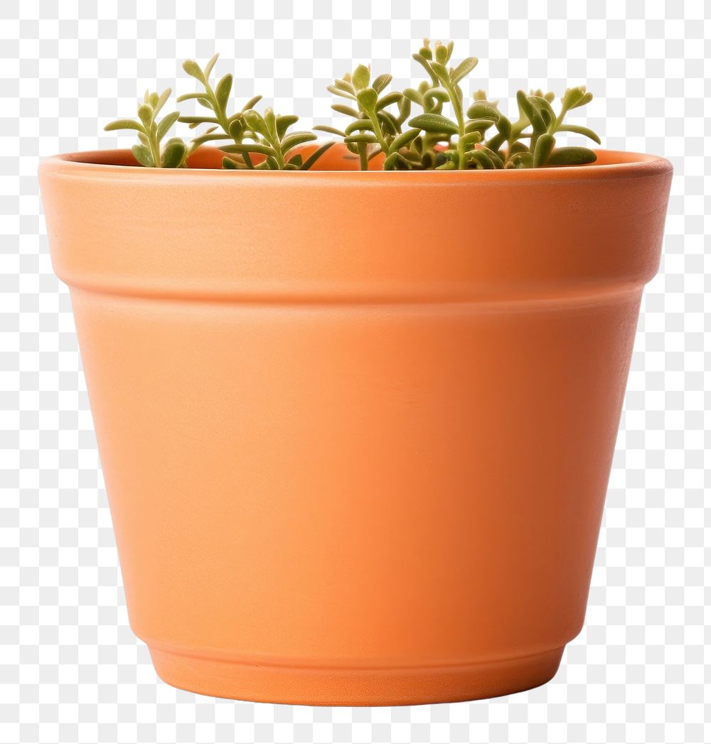 PNG  Plant pot white background houseplant terracotta. AI generated Image by rawpixel.