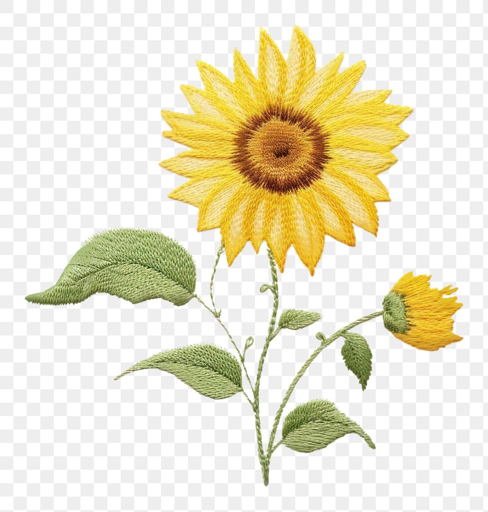 PNG Sunflower pattern plant white background. AI generated Image by rawpixel.