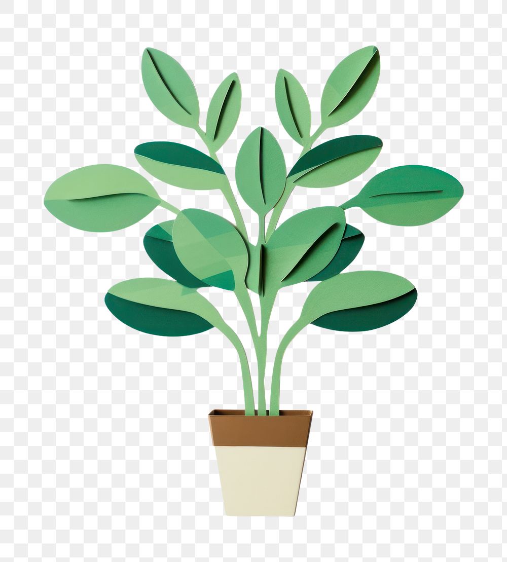 PNG Indoor plant herbs leaf white background. AI generated Image by rawpixel.