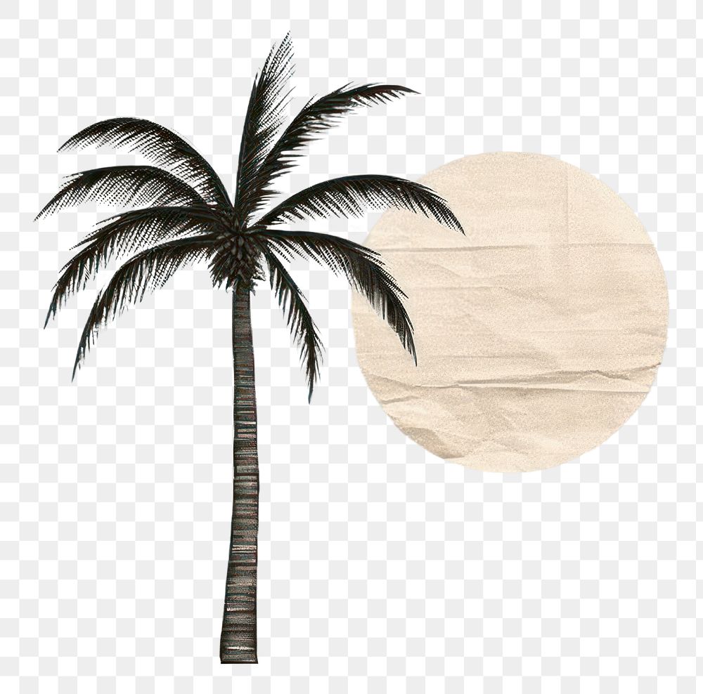 PNG Palm tree nature plant moon. AI generated Image by rawpixel.