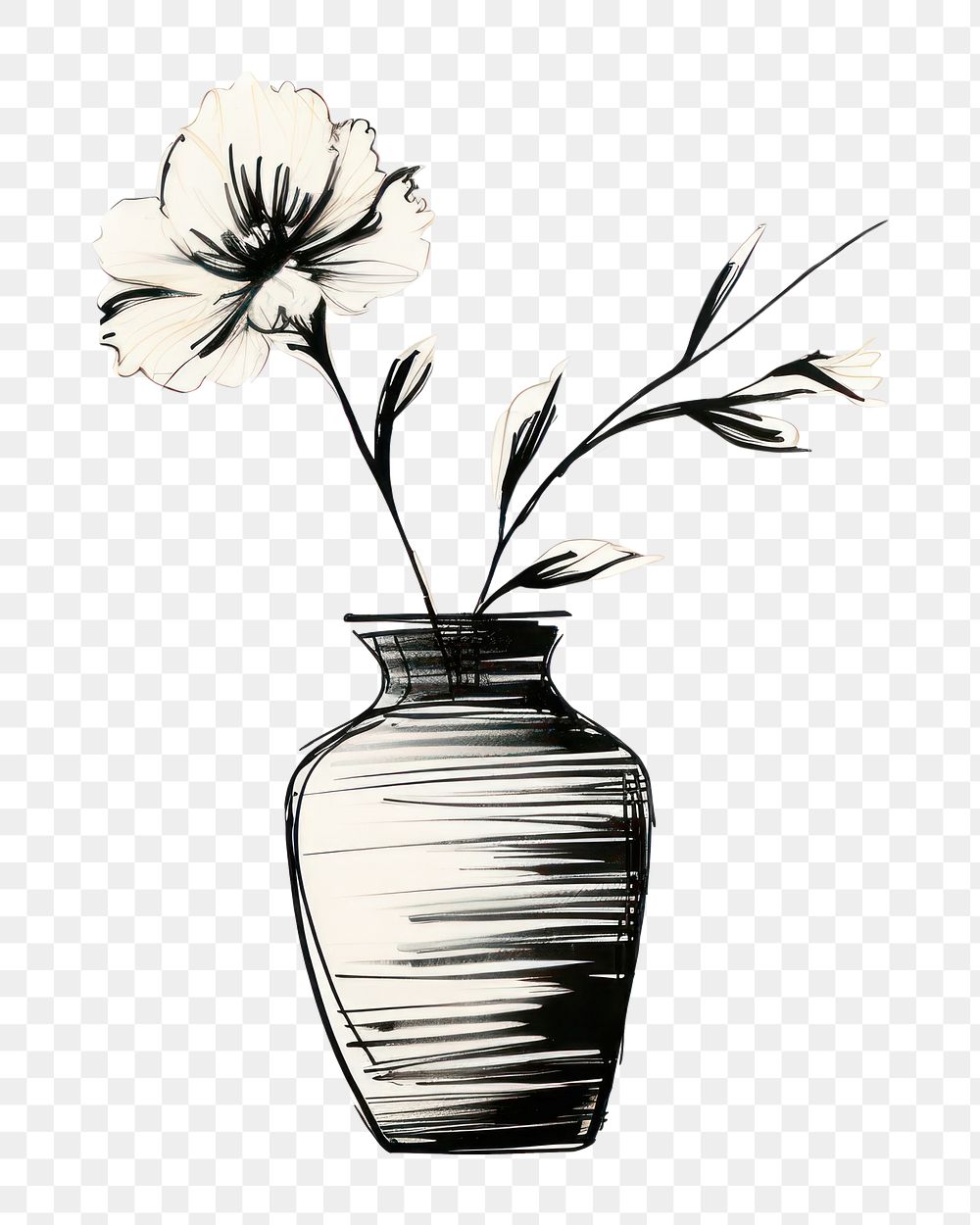 PNG Flower plant vase drawing. AI generated Image by rawpixel.