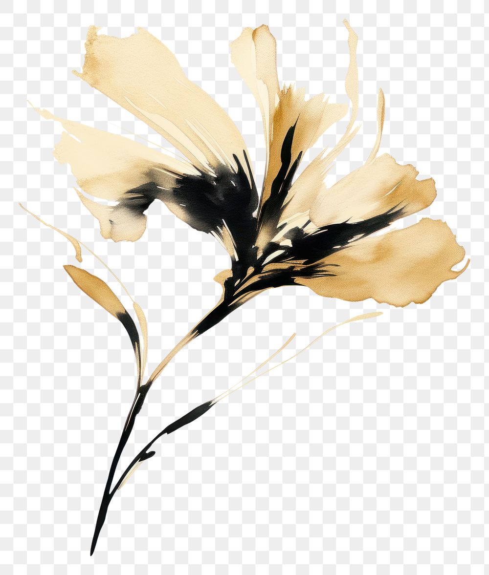 PNG Flower petal plant ink. AI generated Image by rawpixel.