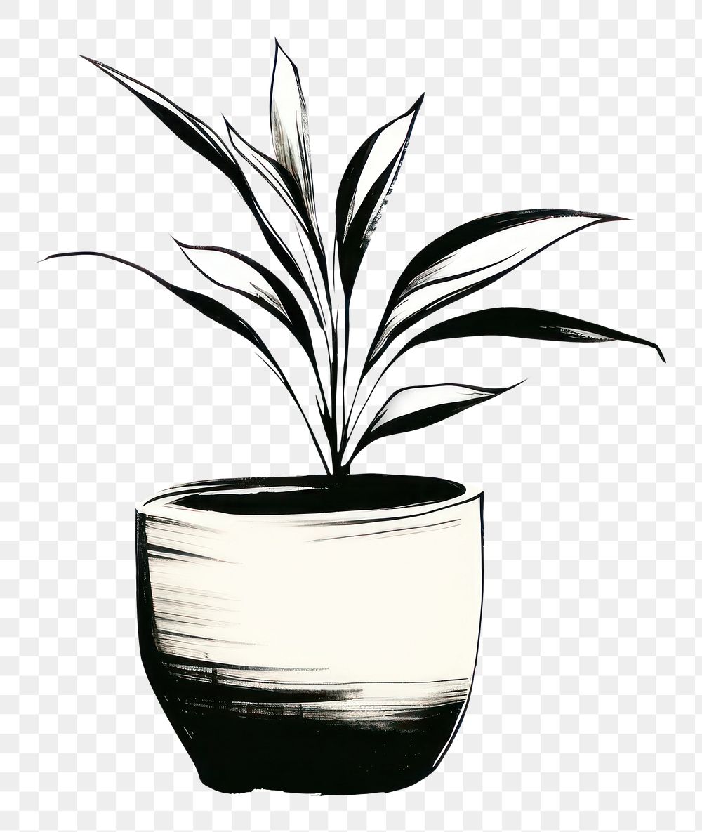 PNG Houseplant vase leaf white background. AI generated Image by rawpixel.