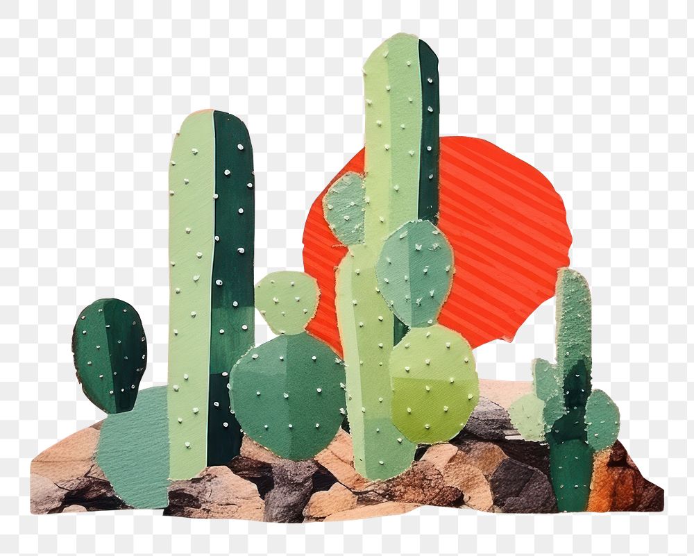 PNG Chin Cactus cactus plant art. AI generated Image by rawpixel.