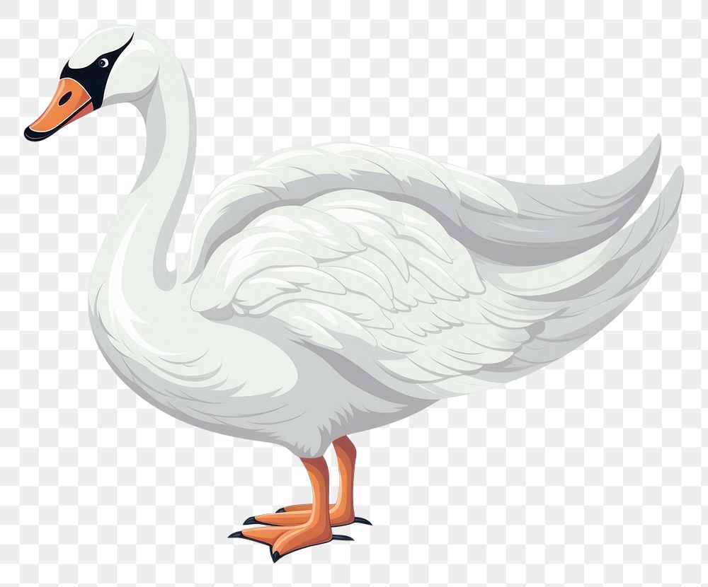 PNG Animal swan cartoon goose. AI generated Image by rawpixel.