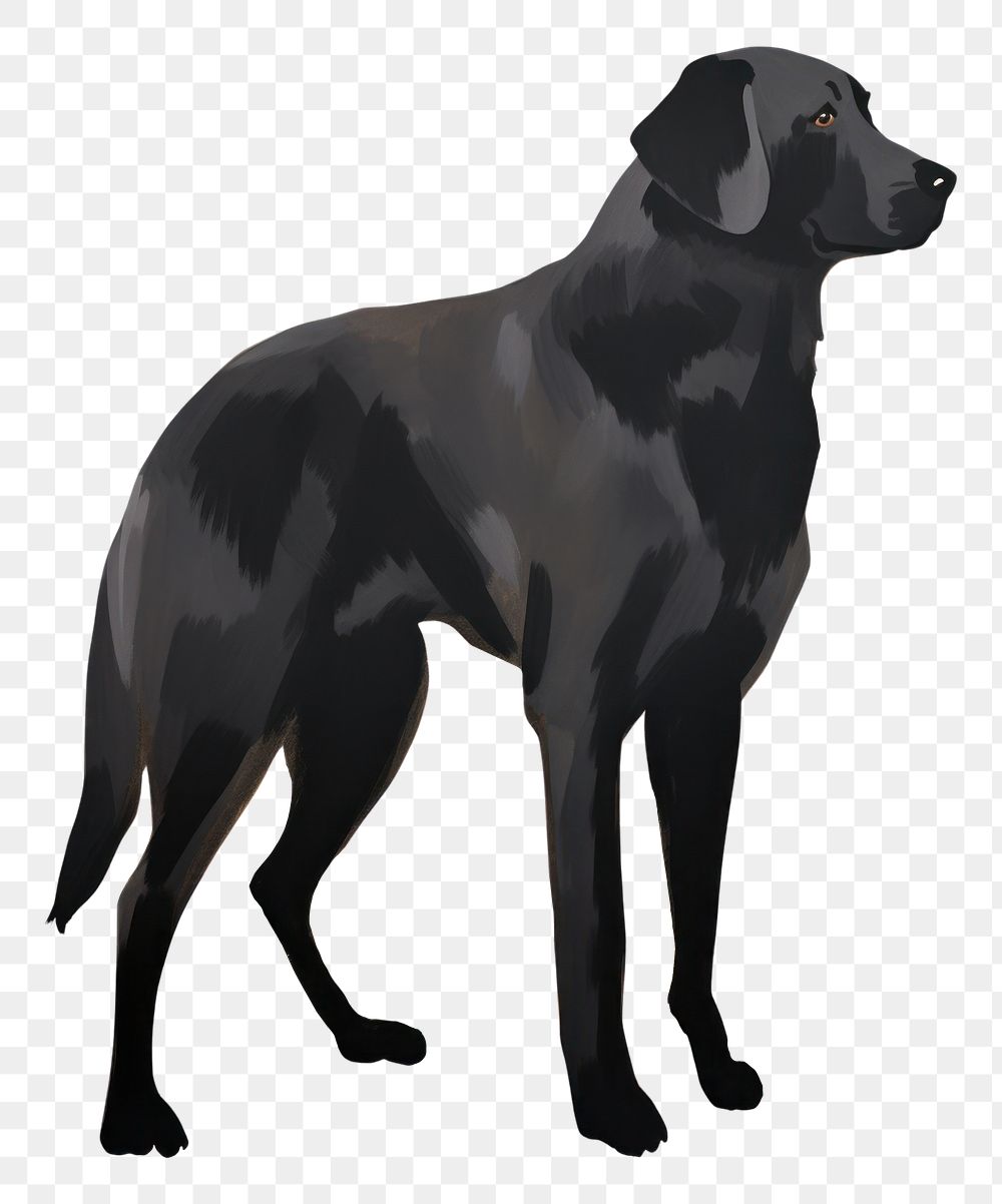 PNG Black dog animal mammal pet. AI generated Image by rawpixel.