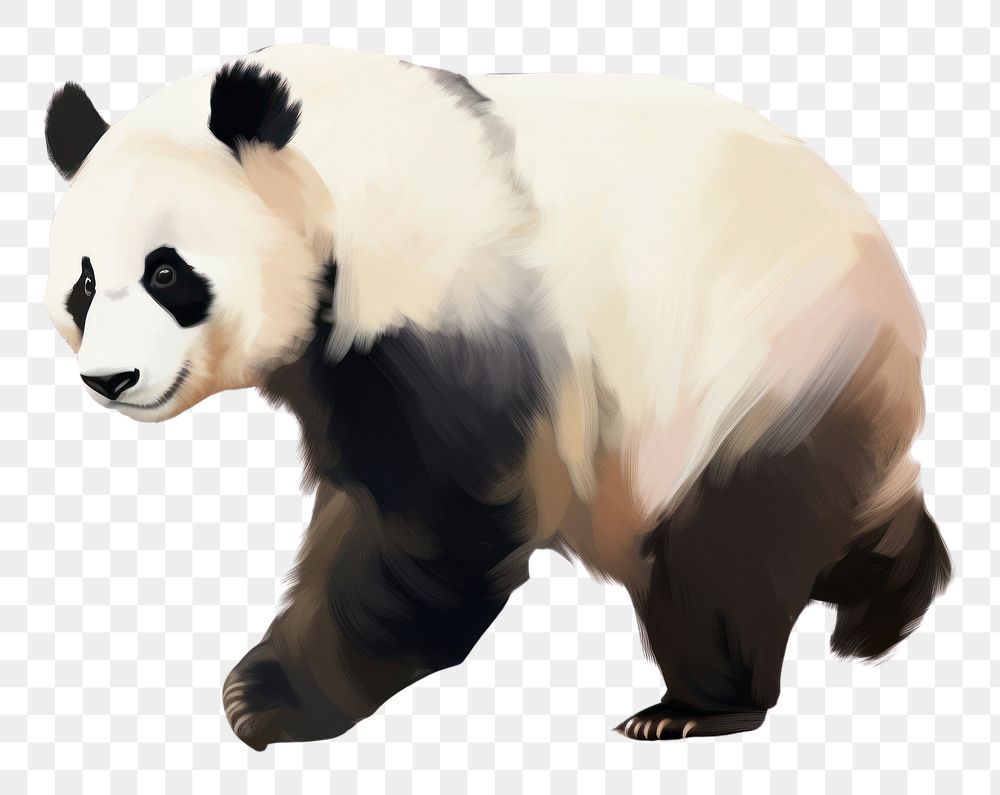 PNG Panda wildlife mammal animal. | Premium PNG - rawpixel