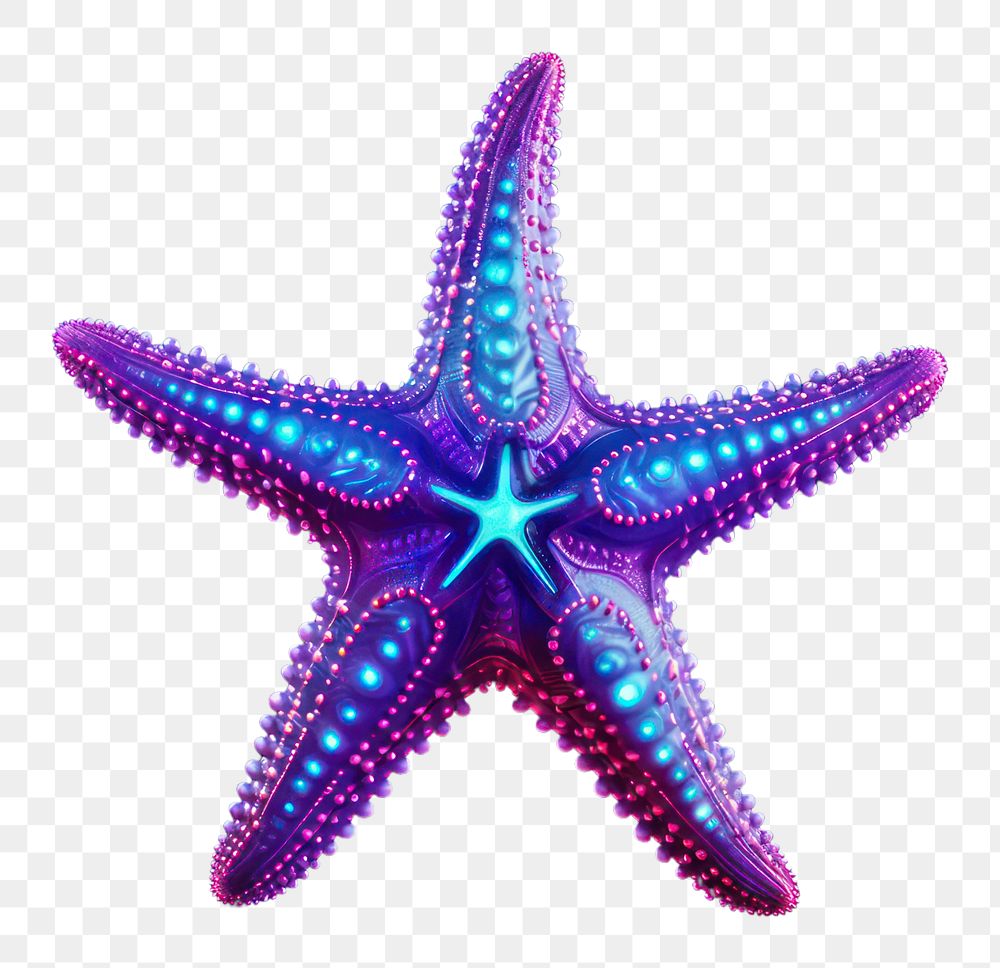 PNG Starfish light neon invertebrate. AI generated Image by rawpixel.