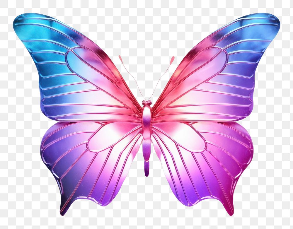 PNG  Butterfly insect petal white background