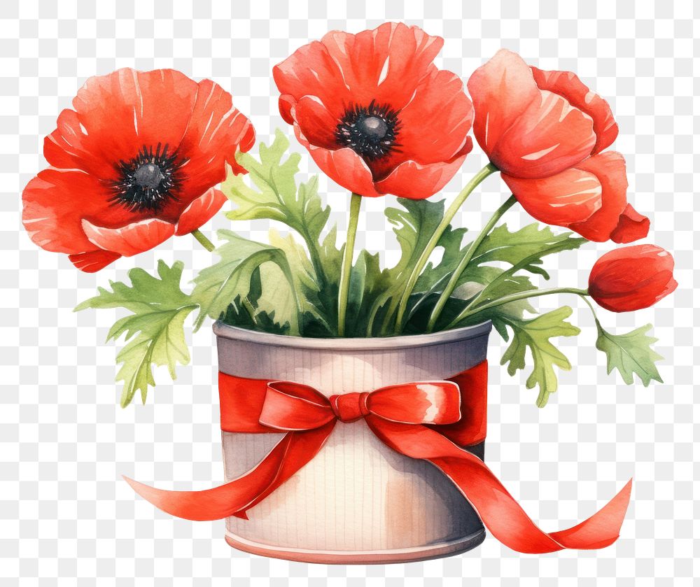 PNG Poppy flower ribbon plant. AI generated Image by rawpixel.